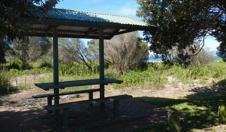 Picnic shelter, Abbey Creek picnic area. Photo: Debby McGerty &copy; OEH
