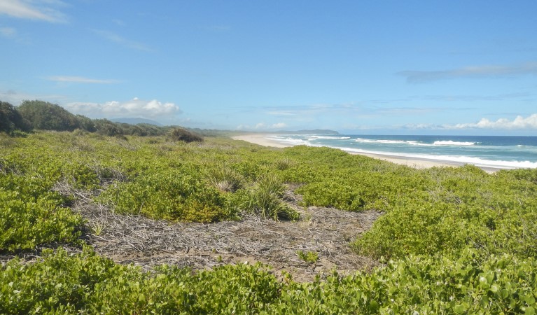 The view of the beach from Abbey Creek picnic area in Crowdy Bay National Park. Photo: Debby McGerty &copy; OEH