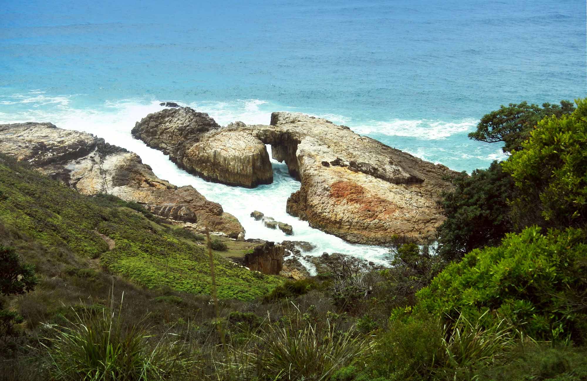 Crowdy bay national park