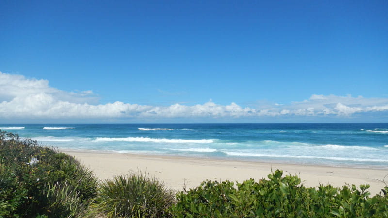 Beach view from Cheesetree picnic area. Photo: Debby McGerty &copy; DPIE