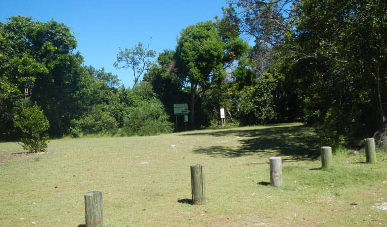 Cheesetree picnic area, Crowdy Bay National Park. Photo: Debby McGerty &copy; OEH