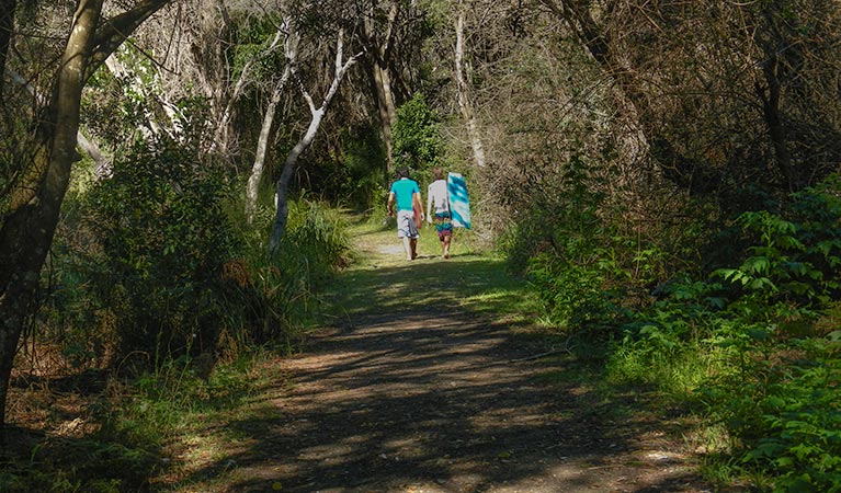 Crowdy Gap walking track, Crowdy Bay National Park. Photo: Debby McGerty &copy; OEH