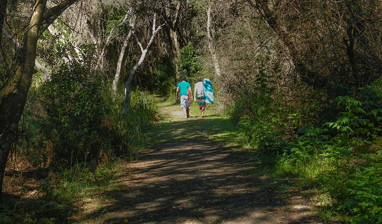 Crowdy Gap walking track, Crowdy Bay National Park. Photo: Debby McGerty/NSW Government