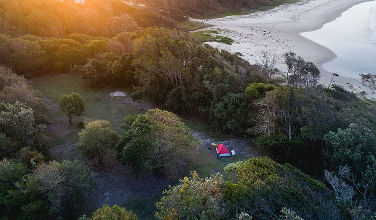 A tent pitched amongst trees, close to the beach in Diamond Head campground, Crowdy Bay National Park. Photo: Robert Mulally/DPIE