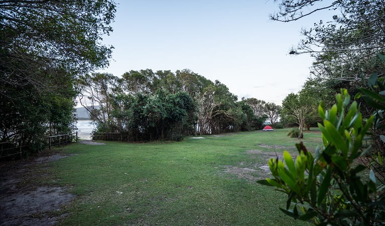 A tent pitched near the pathway to Dungoban Beach at Diamond Head campground, Crowdy Bay National Park. Photo: Rob Mulally/DPIE