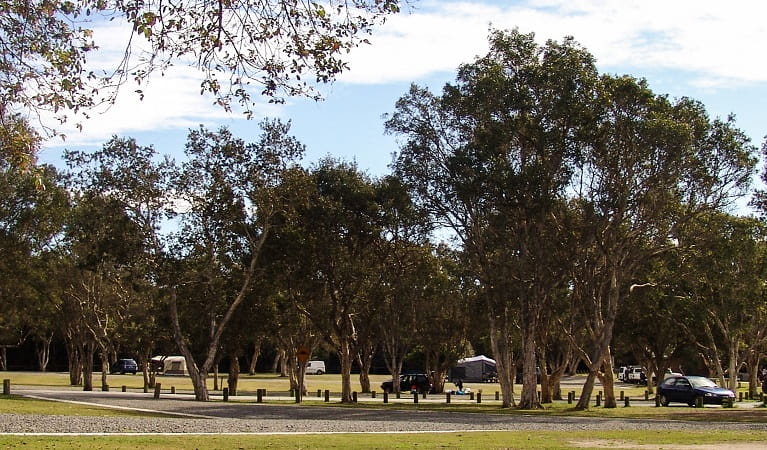 Tents and campervans at Diamond Head campground, Crowdy Bay National Park. Photo: Taylor LoMonaco