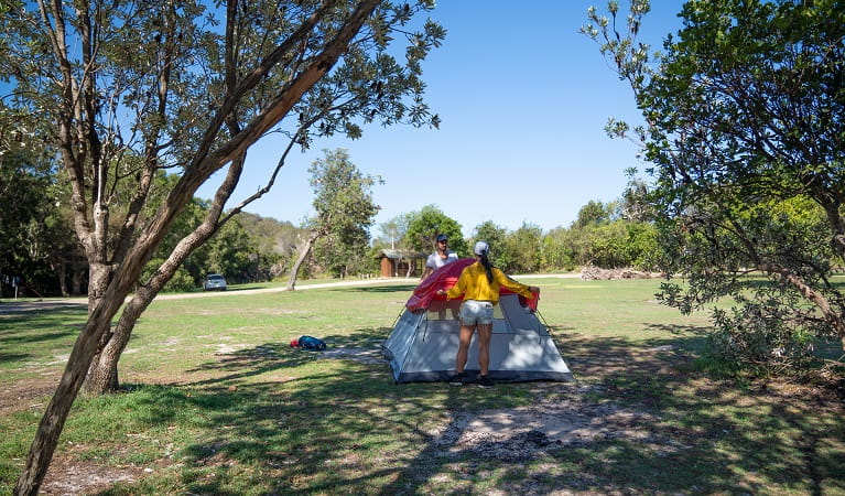 Campers setting up a tent at Kylies Beach campground, Crowdy Bay National Park. Photo: &copy; Rob Mulally