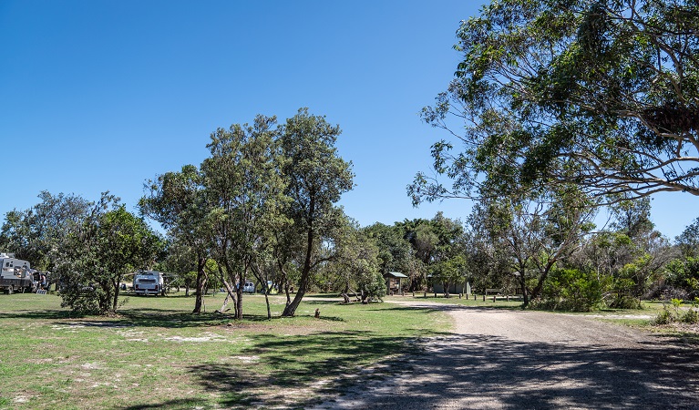 Kylies Beach campground with some campervans in the distance, Crowdy Bay National Park. Photo: Rob Mulally/DPIE