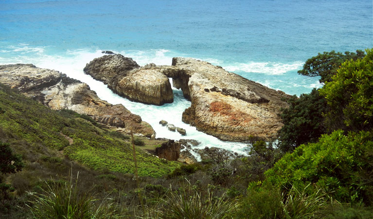 View of the natural arch on the Diamond Head Loop walk. Quick access is via the track head at Indian Head campground. Photo: Debby McGerty &copy; OEH