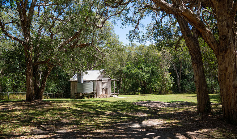 Kylies Hut as it appeared before the 2019 bushfires, set in a shady glen surrounded by coastal forest in Crowdy Bay National Park. Photo: &copy; Robert Mulally