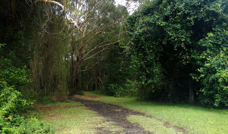 Metcalfe's walk and surrounding bushland. Photo: Debby McGerty &copy; OEH