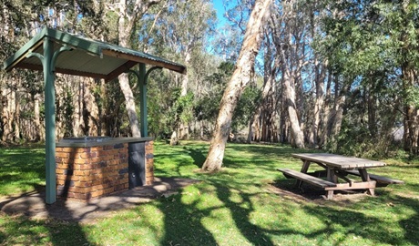 A barbecue shelter and picnic table surrounded by trees at Cudgen Lake picnic area in Cudgen Nature Reserve. Photo: Clare Manning &copy; DCCEEW