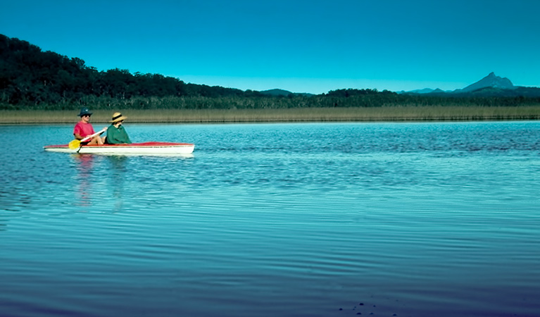 Cudgen Nature Reserve. Photo: John Spencer/NSW Government