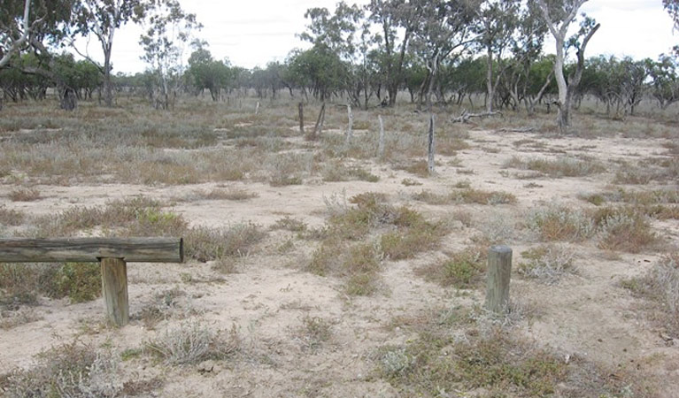 Culgoa Connelly's track, Culgoa National Park. Photo &copy; Dinitee Haskard