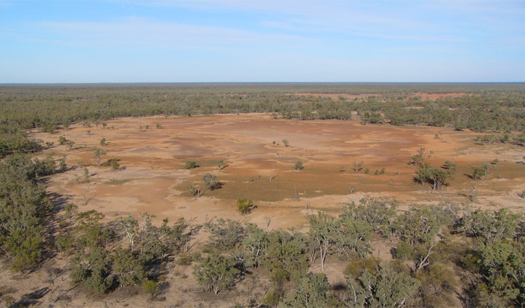 Culgoa National Park. Photo: NSW Government