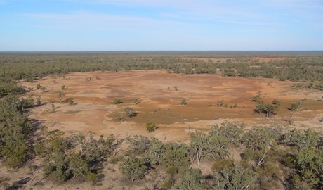 Culgoa National Park. Photo: NSW Government