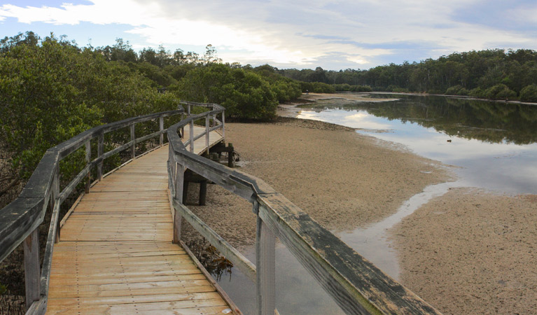 Boardwalk, Cullendulla Creek Nature Reserve. Photo &copy; Matthew Makeham