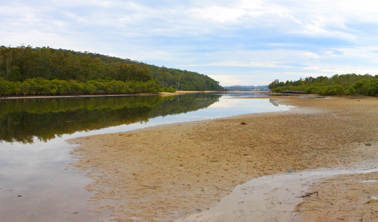 Mangrove walk, Cullendulla Creek Nature Reserve. Photo &copy; Matthew Makeham