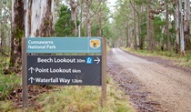 Beech Lookout, Cunnawarra National Park. Photo: Rob Cleary &copy; OEH