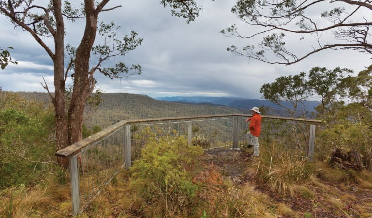 A man enjoying the view from Beech lookout in Cunnawarra National Park. Photo: Rob Clearly &copy; OEH