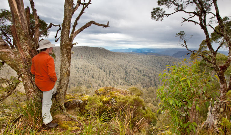 Cunnawarra National Park. Photo: Robert Cleary &copy; DPIE