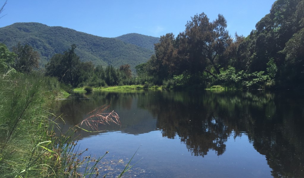 The Barnard River in Curracabundi National Park. Photo &copy; Sean Thompson