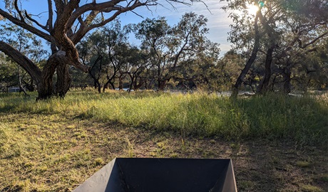 Distant view of the waterhole through the trees at Comeroo campground. Credit: Jessica Stokes &copy; DCCEEW