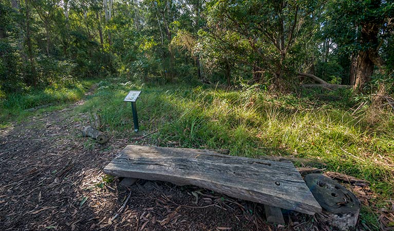 Browns Forest loop trail, Dalrymple-Hay Nature Reserve. Photo: John Spencer &copy; OEH