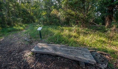 Browns Forest loop trail, Dalrymple-Hay Nature Reserve. Photo: John Spencer &copy; OEH