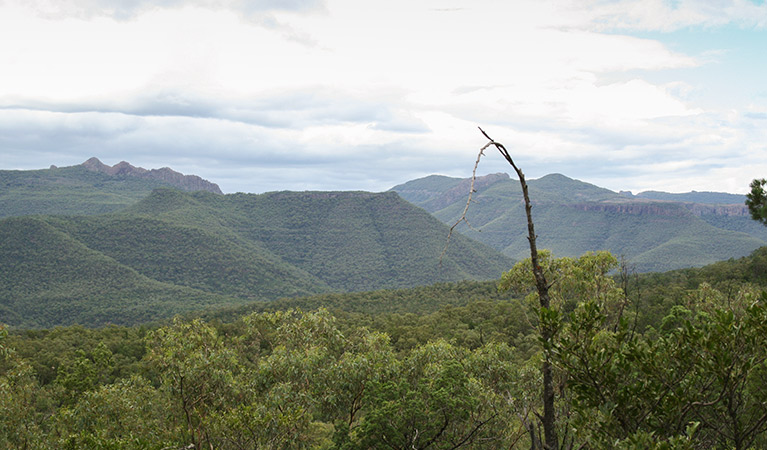 Biruu Gaba lookout walking track, Deriah Aboriginal Area. Photo &copy; Dirk Richards