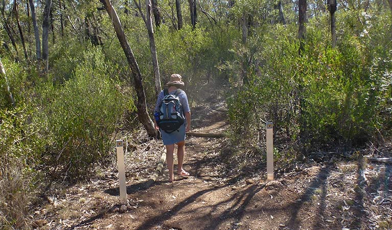 Biruu Gaba lookout walking track, Deriah Aboriginal Area. Photo &copy; Dirk Richards