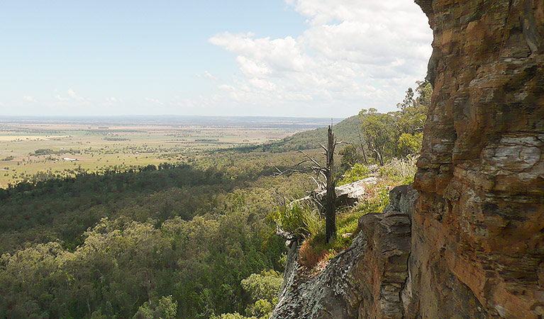 Deriah Aboriginal Area. Photo: Dirk Richards/NSW Government