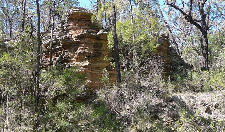 Deriah Aboriginal Area. Photo: Dirk Richards/NSW Government