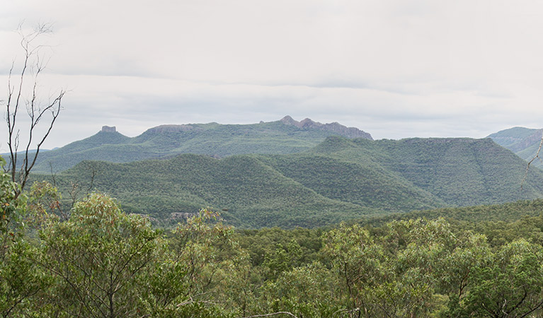 Winangabaa – Information Bay, Deriah Aboriginal Area. Photo &copy; Dirk Richards