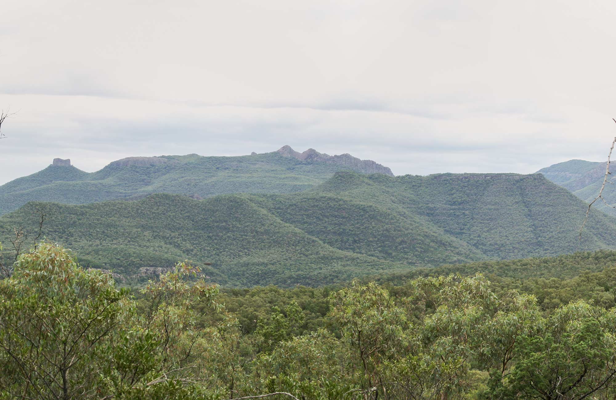 Winangabaa – Information Bay, Deriah Aboriginal Area. Photo: Dirk Richards