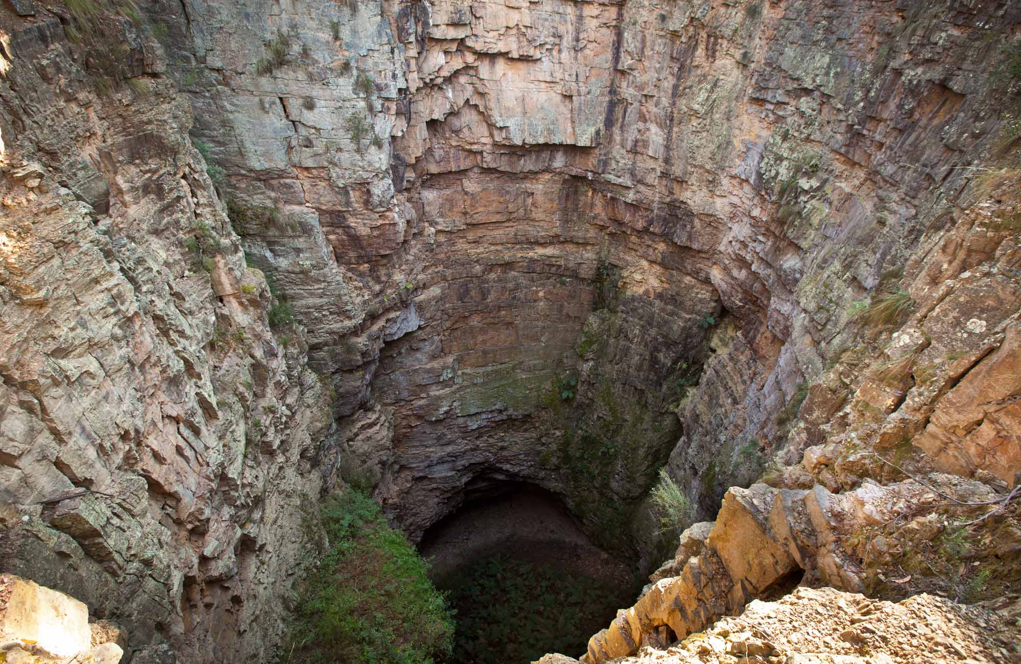 The Big Hole Walking Track Nsw National Parks