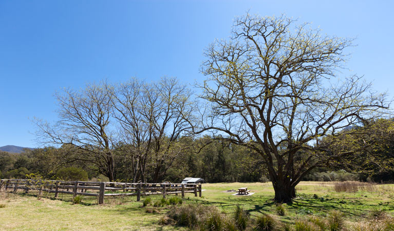 Bendethera Valley campground flat, Deua National Park. Photo: Lucas Boyd Copyright:NSW Government