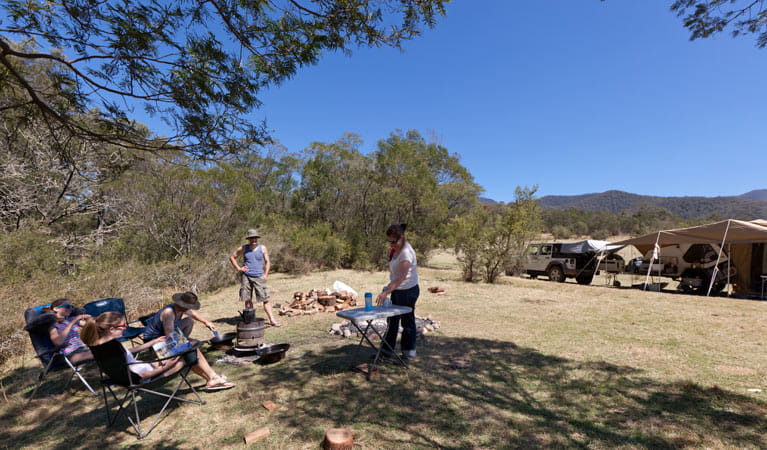 Bendethera Valley campground group, Deua National Park. Photo: Lucas Boyd Copyright:NSW Government