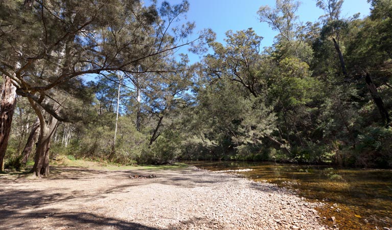 Bendethera Valley campground, Deua National Park. Photo: Lucas Boyd