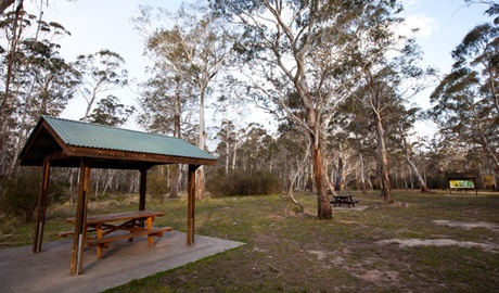 Berlang campground shelter, Deua National Park. Photo: Lucas Boyd &copy; OEH