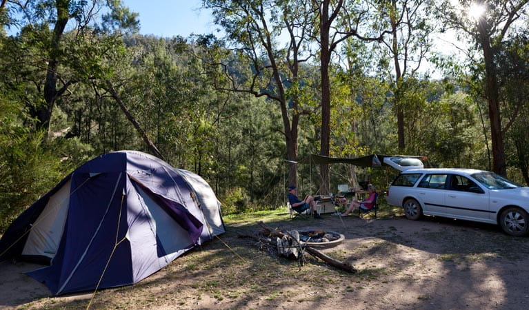 A tent and car at Deua River campgrounds, Deua National Park. Photo: Lucas Boyd/DPIE