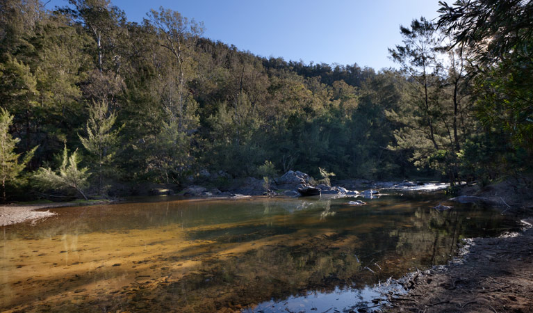 Deua River campgrounds waterside, Deua National Park. Photo: Lucas Boyd/DPIE