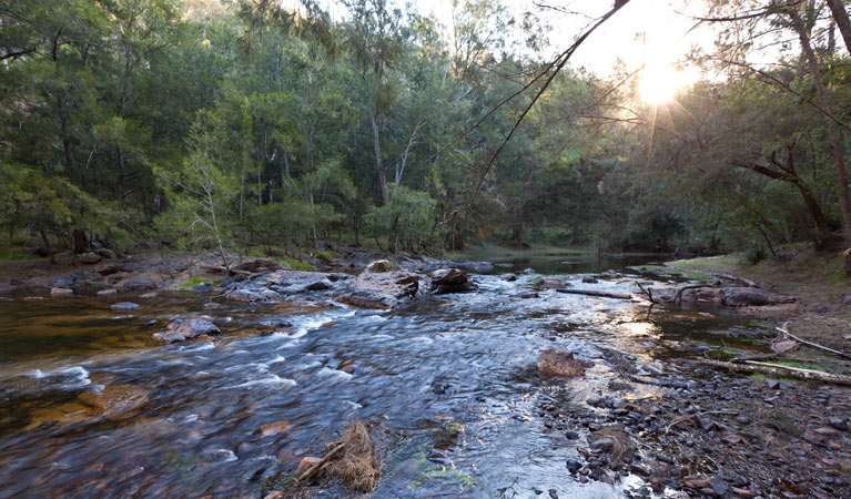 Deua River campgrounds current, Deua National Park. Photo: Lucas Boyd/DPIE