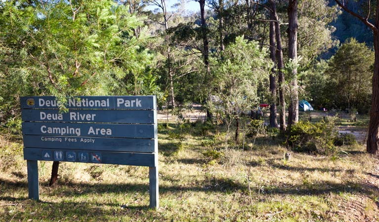 Deua River campgrounds sign, Deua National Park. Photo: Lucas Boyd/DPIE