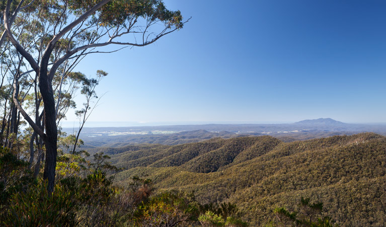 Hanging Mountain lookout, Deua National Park. Photo: Lucas Boyd &copy; DPIE