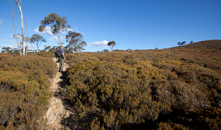 The Big Hole walking track path, Deua National Park. Photo: Lucas Boyd &copy; DPIE