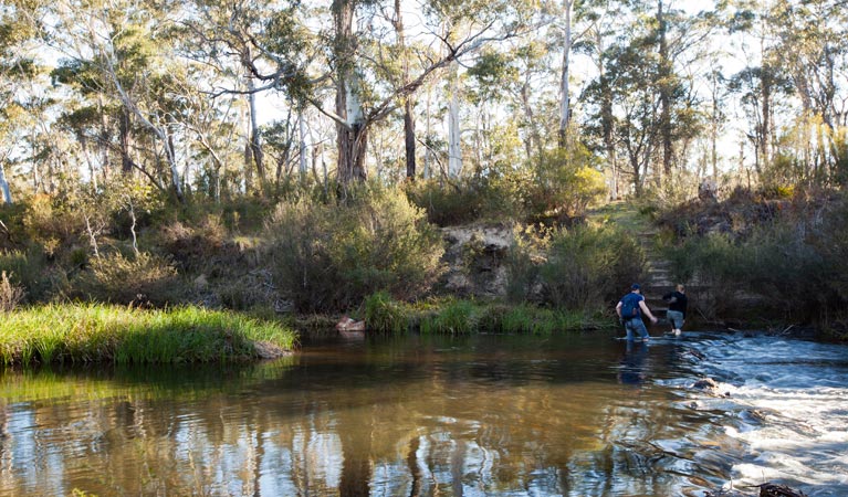 The Big Hole walking track river, Deua National Park. Photo: Lucas Boyd &copy; OEH