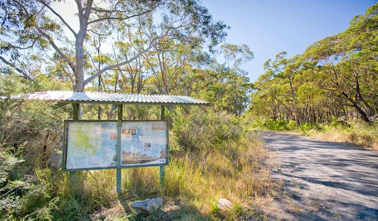 10B cycling trail, Dharawal National Park. Photo: Nick Cubbin 