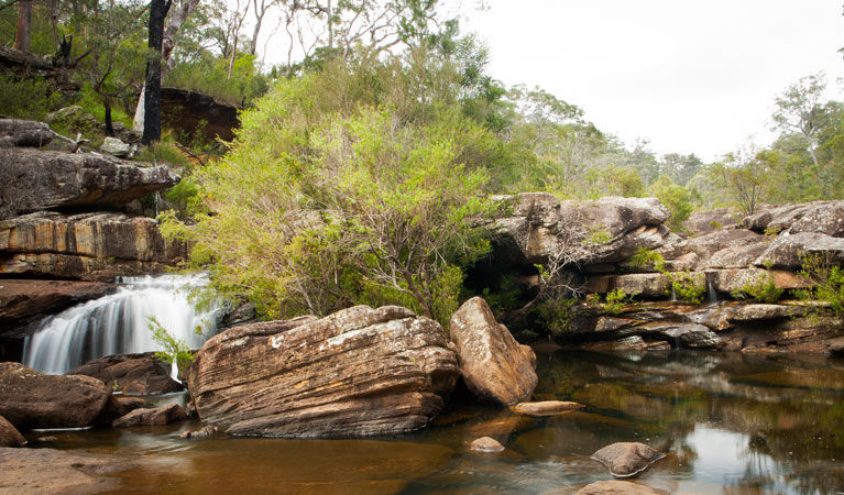 Iluka Creek, Dharawal National Park. Photo: Lucas Boyd &copy; OEH