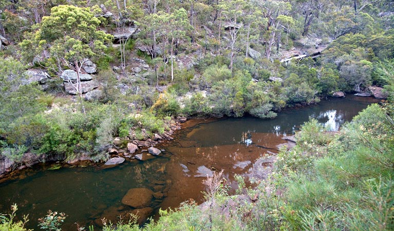 Jingga walking track, Dharawal National Park. Photo: Nick Cubbin &copy; OEH